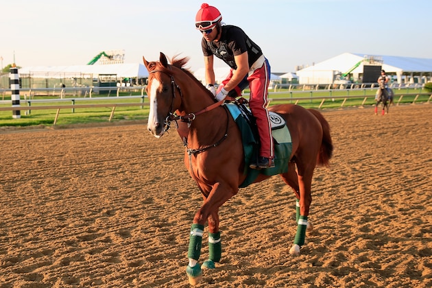 BALTIMORE, MD - MAY 13:  Exercise rider Willie Delgado walks Kentucky Derby winner California Chrome off the track following a workout in preparation for the 139th Preakness Stakes at Pimlico Race Course on May 13, 2014 in Baltimore, Maryland.  (Photo by Rob Carr/Getty Images)