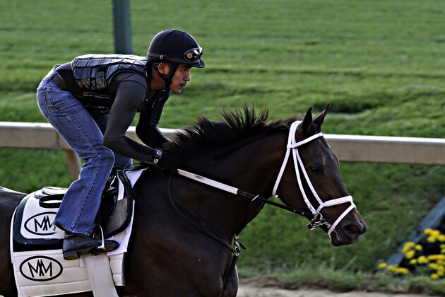 Preakness Stakes hopeful General a Rod gallops under exercise rider Joel Barrientos at Pimlico Race Course in Baltimore, Md., Tuesday, May 13, 2014.  (AP Photo/Garry Jones)