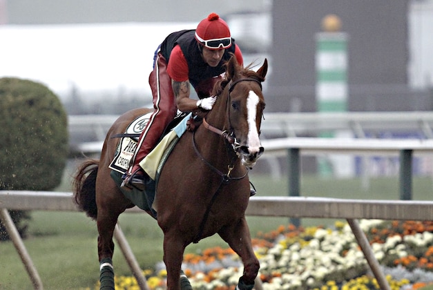 Exercise rider Willie Delgado gallops Kentucky Derby winner California Chrome at Pimlico Race Course in Baltimore, Md., Wednesday, May 14, 2014. The Preakness Stakes horse race is scheduled for May 17 at Pimlico. (AP Photo/Garry Jones)