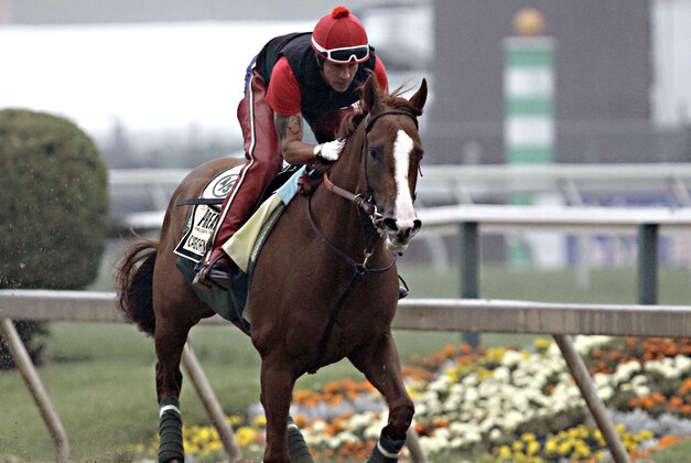 Exercise rider Willie Delgado gallops Kentucky Derby winner California Chrome at Pimlico Race Course in Baltimore, Md., Wednesday, May 14, 2014. The Preakness Stakes horse race is scheduled for May 17 at Pimlico. (AP Photo/Garry Jones)