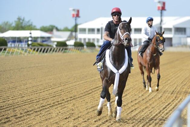 May 13, 2014; Baltimore, MD, USA; Ride on Curlin trots down the track during his morning work out in preparation for the Preakness Stakes at Pimlico Race Course. Mandatory Credit: Tommy Gilligan-USA TODAY Sports