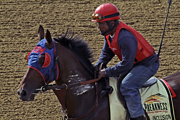 Preakness Stakes hopeful Social Inclusion gallops the wrong way at Pimlico Race Course in Baltimore, Md., Tuesday, May 13, 2014. The Preakness Stakes horse race is scheduled for Saturday. The Preakness Stakes horse race is scheduled for Saturday.(AP Photo/Garry Jones)