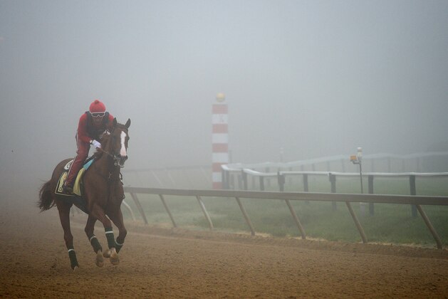BALTIMORE, MD - MAY 15:  Exercise rider Willie Delgado takes Kentucky Derby winner California Chrome over the track in preparation for the 139th Preakness Stakes at Pimlico Race Course on May 15, 2014 in Baltimore, Maryland. (Photo by Patrick Smith/Getty Images)