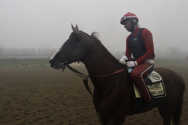 Preakness Stakes favorite California Chrome, winner of the Kentucky Derby, heads to the track for a morning workout in the fog with exercise rider Willie Delgado aboard at Pimlico Race Course in Baltimore, Thursday, May 15, 2014.  (AP Photo/Garry Jones)
