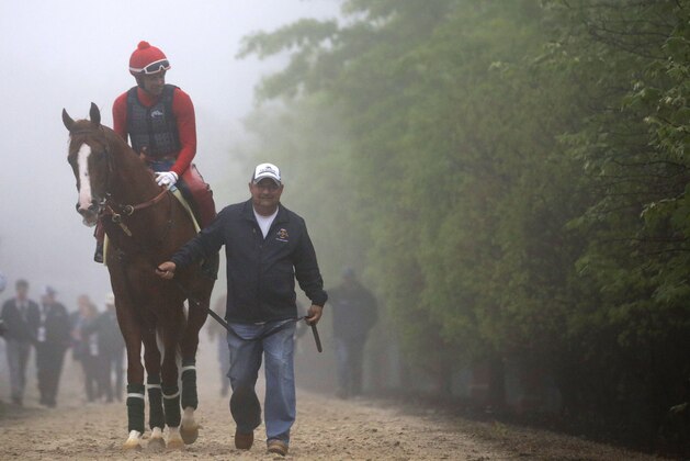 Assistant trainer Alan Sherman, right, leads Kentucky Derby winner California Chrome, with exercise rider Willie Delgado aboard, to the track for a workout as a layer of thick fog sits over Pimlico Race Course in Baltimore, Thursday, May 15, 2014. The Preakness Stakes horse race is scheduled to take place May 17. (AP Photo/Patrick Semansky)
