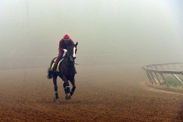 May 15, 2014; Baltimore, MD, USA; Exercise rider Willie Delgado aboard California Chrome during morning workouts in preparation for the Preakness Stakes at Pimlico Race Course. Mandatory Credit: Tommy Gilligan-USA TODAY Sports