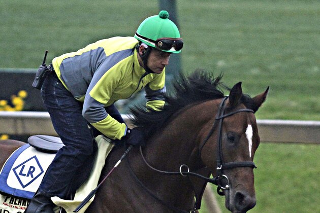 Preakness Stakes hopeful Kid Cruz, with exercise rider Reul Munoz aboard, gallops at Pimlico Race Course in Baltimore, Md., Wednesday, May 14, 2014. The 139th Preakness Stakes is Saturday, May 17.  (AP Photo/Garry Jones)