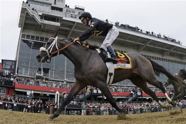 ADVANCE FOR WEEKEND EDITIONS, JUNE 1-2 - FILE - In this May 18, 2013 file photo, Oxbow, ridden by jockey Gary Stevens, wins the 138th Preakness Stakes horse race at Pimlico Race Course in Baltimore. (AP Photo/Matt Slocum)