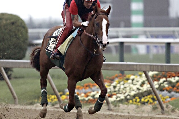 Exercise rider Willie Delgado gallops Kentucky Derby winner California Chrome at Pimlico Race Course in Baltimore, Md., Wednesday, May 14, 2014. The Preakness Stakes horse race is scheduled for May 17 at Pimlico. (AP Photo/Garry Jones)