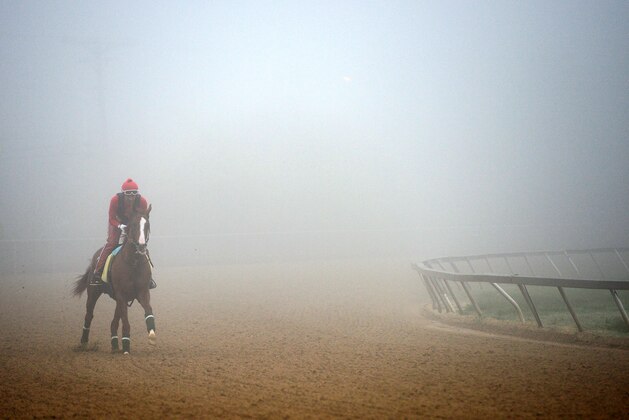 BALTIMORE, MD - MAY 15:  Exercise rider Willie Delgado takes Kentucky Derby winner California Chrome over the track in preparation for the 139th Preakness Stakes at Pimlico Race Course on May 15, 2014 in Baltimore, Maryland. (Photo by Patrick Smith/Getty Images)