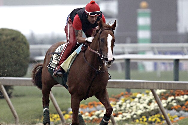 Exercise rider Willie Delgado gallops Kentucky Derby winner California Chrome at Pimlico Race Course in Baltimore, Md., Wednesday, May 14, 2014. The Preakness Stakes horse race is scheduled for May 17 at Pimlico. (AP Photo/Garry Jones)