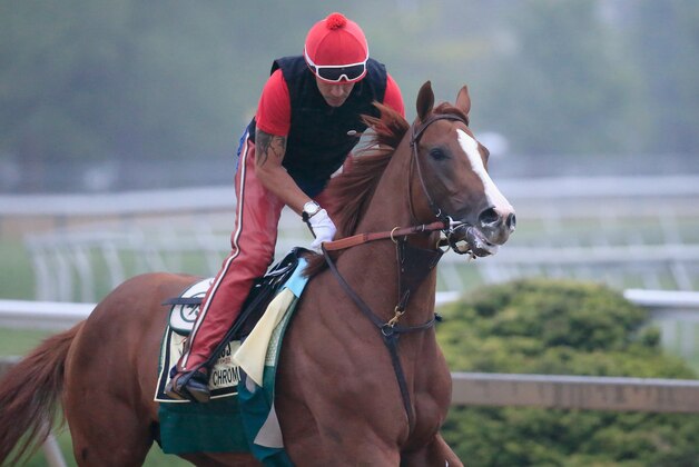 BALTIMORE, MD - MAY 14:  Exercise rider Willie Delgado takes Kentucky Derby winner California Chrome over the track in preparation for the 139th Preakness Stakes at Pimlico Race Course on May 14, 2014 in Baltimore, Maryland.  (Photo by Rob Carr/Getty Images)