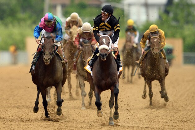 BALTIMORE, MD - MAY 18:  Gary Stevens celebrates atop of Oxbow #6 as he comes to the finish line to win the 138th running of the Preakness Stakes at Pimlico Race Course on May 18, 2013 in Baltimore, Maryland.  (Photo by Patrick Smith/Getty Images)