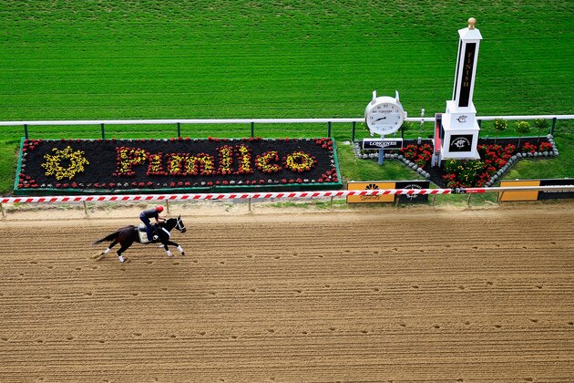 BALTIMORE, MD - MAY 13:  Exercise rider Bryan Beccia jogs Ride On Curlin over the track in preparation for the 139th Preakness Stakes at Pimlico Race Course on May 13, 2014 in Baltimore, Maryland.  (Photo by Rob Carr/Getty Images)