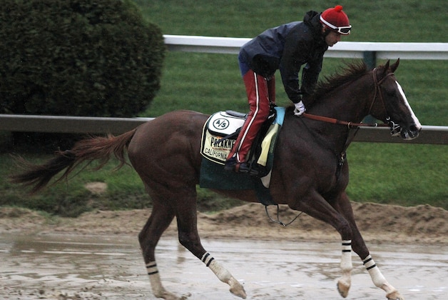 Preakness Stakes favorite California Chrome gallops in the rain under exercise rider Willie Delgado at Pimlico Race Course, Friday, May 16, 2014, in Baltimore. The 139th Preakness Stakes horse race takes place Saturday. (AP Photo/Garry Jones)