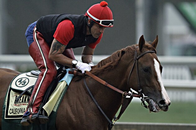 Exercise rider Willie Delgado gallops Kentucky Derby winner and Preakness Stakes hopeful California Chrome at Pimlico Race Course in Baltimore, Md., Wednesday, May 14, 2014. The Preakness Stakes is Saturday, May 17.  (AP Photo/Garry Jones)