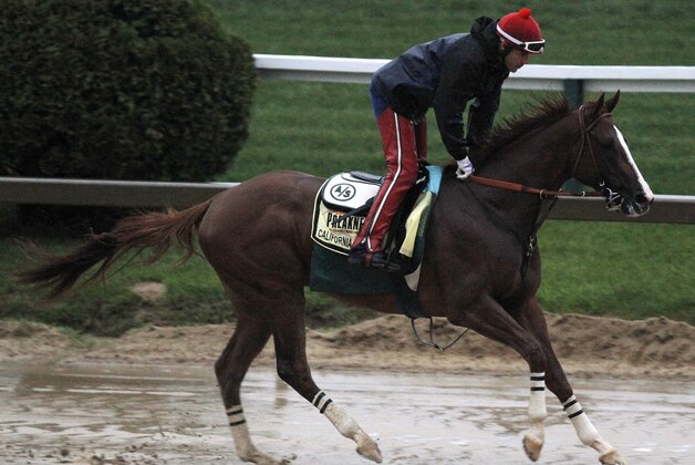 Preakness Stakes favorite California Chrome gallops in the rain under exercise rider Willie Delgado at Pimlico Race Course, Friday, May 16, 2014, in Baltimore. The 139th Preakness Stakes horse race takes place Saturday. (AP Photo/Garry Jones)