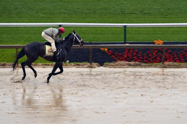 May 16, 2014; Baltimore, MD, USA;  Exercise rider Bryan Beccia jogs Ride On Curlin  during morning workouts in preparation for the Preakness Stakes at Pimlico Race Course. Mandatory Credit: Tommy Gilligan-USA TODAY Sports.