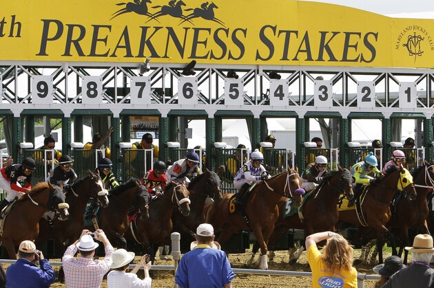 Horses leave the starting gate for the first race of the day ahead of the 139th Preakness Stakes horse race at Pimlico Race Course, Saturday, May 17, 2014, in Baltimore. The race was taken of the turf. (AP Photo/Garry Jones)