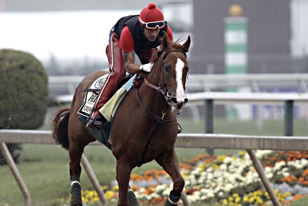Exercise rider Willie Delgado gallops Kentucky Derby winner California Chrome at Pimlico Race Course in Baltimore, Md., Wednesday, May 14, 2014. The Preakness Stakes horse race is scheduled for May 17 at Pimlico. (AP Photo/Garry Jones)