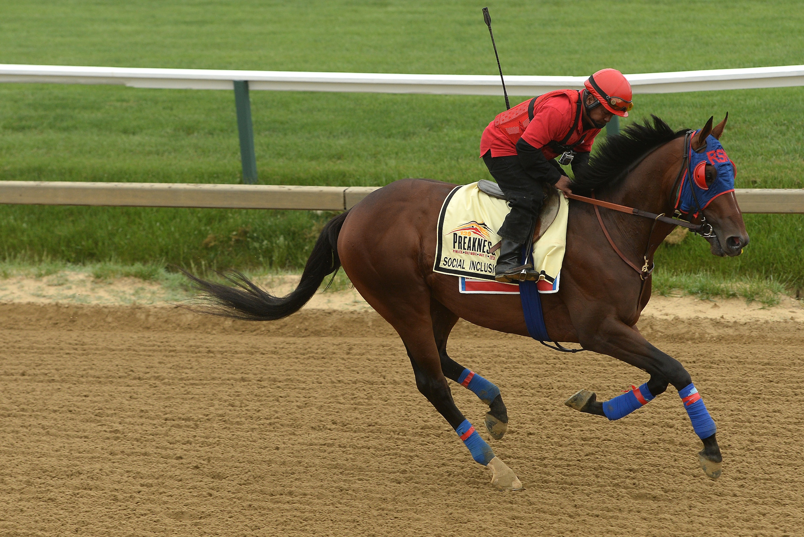 BALTIMORE, MD - MAY 15: Exercise rider Domingo Navarro takes Social Inclusion over the track in preparation for the 139th Preakness Stakes at Pimlico Race Course on May 15, 2014 in Baltimore, Maryland. (Photo by Patrick Smith/Getty Images)