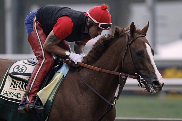Exercise rider Willie Delgado gallops Kentucky Derby winner California Chrome at Pimlico Race Course in Baltimore, Md., Wednesday, May 14, 2014. The Preakness Stakes horse race is scheduled for May 17 at Pimlico. (AP Photo/Garry Jones)