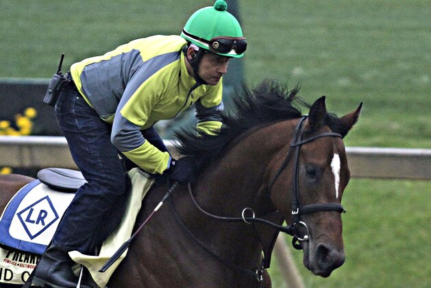 Preakness Stakes hopeful Kid Cruz, with exercise rider Reul Munoz aboard, gallops at Pimlico Race Course in Baltimore, Md., Wednesday, May 14, 2014. The 139th Preakness Stakes is Saturday, May 17.  (AP Photo/Garry Jones)