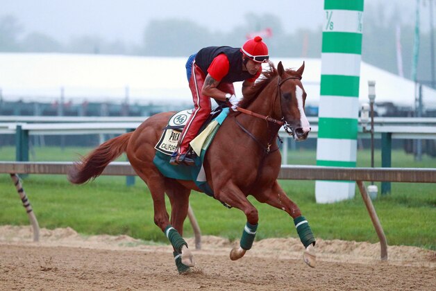 May 14, 2014; Baltimore, MD, USA; Exercise rider Willie Delgado aboard California Chrome during morning workouts in preparation for the Preakness Stakes at Pimlico Race Course. Mandatory Credit: Mitch Stringer-USA TODAY Sports