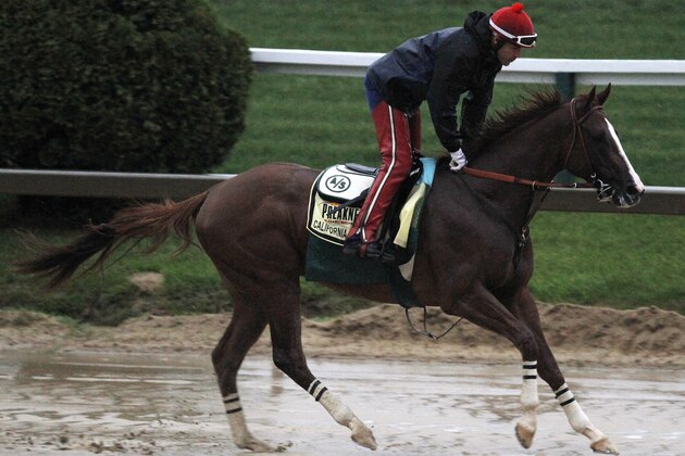 Preakness Stakes favorite California Chrome gallops in the rain under exercise rider Willie Delgado at Pimlico Race Course, Friday, May 16, 2014, in Baltimore. The 139th Preakness Stakes horse race takes place Saturday. (AP Photo/Garry Jones)