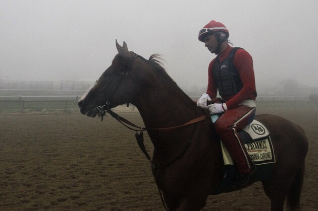 Preakness Stakes favorite California Chrome, winner of the Kentucky Derby, heads to the track for a morning workout in the fog with exercise rider Willie Delgado aboard at Pimlico Race Course in Baltimore, Thursday, May 15, 2014.  (AP Photo/Garry Jones)