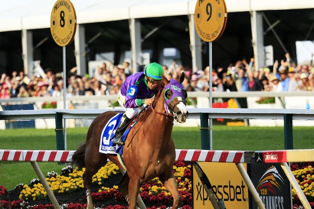 BALTIMORE, MD - MAY 17:  California Chrome #3, ridden by Victor Espinoza, races to the finishline to win during the 139th running of the Preakness Stakes at Pimlico Race Course on May 17, 2014 in Baltimore, Maryland.  (Photo by Patrick Smith/Getty Images)