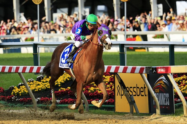BALTIMORE, MD - MAY 17:  California Chrome #3, ridden by Victor Espinoza, races to the finishline to win during the 139th running of the Preakness Stakes at Pimlico Race Course on May 17, 2014 in Baltimore, Maryland.  (Photo by Patrick Smith/Getty Images)
