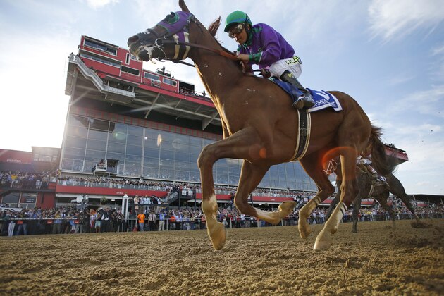 California Chrome, ridden by jockey Victor Espinoza, wins the 139th Preakness Stakes horse race at Pimlico Race Course, Saturday, May 17, 2014, in Baltimore.  (AP Photo/Matt Slocum)