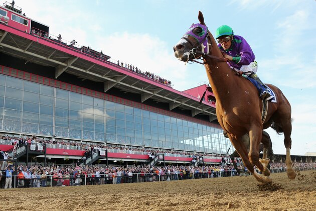 BALTIMORE, MD - MAY 17:  California Chrome #3, ridden by Victor Espinoza, races to the finish line enroute to winning the 139th running of the Preakness Stakes at Pimlico Race Course on May 17, 2014 in Baltimore, Maryland.  (Photo by Rob Carr/Getty Images)