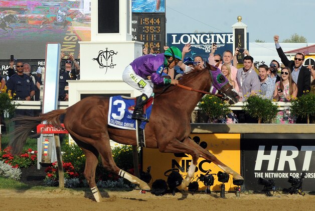 IMAGE DISTRIBUTED FOR LONGINES - California Chrome, ridden by jockey Victor Espinoza, wins the second leg of the Triple Crown as he runs away with the 139th Preakness Stakes, Saturday, May 17, 2014, in Baltimore, MD. Longines, the Swiss watchmaker known for its famous timepieces, is the Official Watch and Timekeeper of the 139th annual Preakness Stakes and the Triple Crown. (Diane Bondareff/Invision for Longines/AP Images)