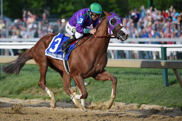 BALTIMORE, MD - MAY 17: California Chrome #3, ridden by Victor Espinoza, head to the finish line enroute to winning the 139th running of the Preakness Stakes at Pimlico Race Course on May 17, 2014 in Baltimore, Maryland.  (Photo by Molly Riley/Getty Images)