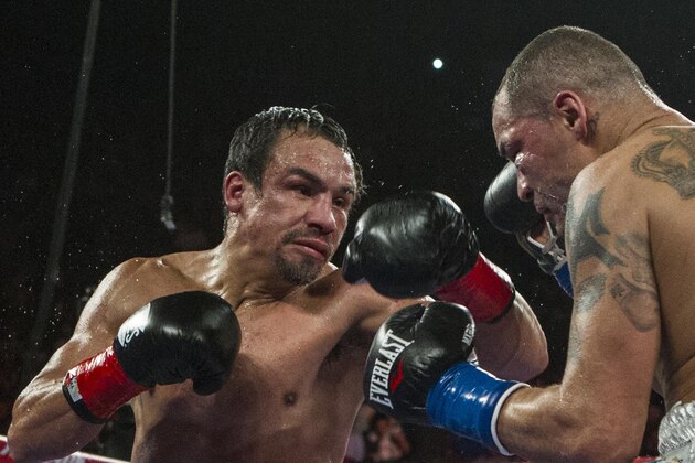 Mike Alvarado, right, and Juan Manuel Márquez, of Mexico, exchange punches in the tenth round of a WBO welterweight title boxing match at the Forum in Inglewood, Calif., Saturday, May 17, 2014. Márquez won the title.  (AP Photo/Ringo H.W. Chiu)