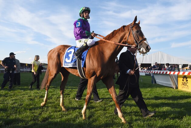 BALTIMORE, MD - MAY 17:  Victor Espinoza rides atop California Chrome #3 during the post parade for the 139th running of the Preakness Stakes at Pimlico Race Course on May 17, 2014 in Baltimore, Maryland.  (Photo by Patrick Smith/Getty Images)