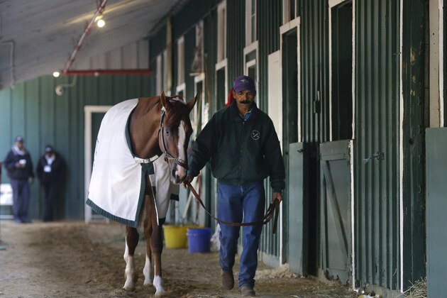 Groom Raul Rodriguez walks Kentucky Derby and Preakness Stakes winner California Chrome around a barn at Pimlico Race Course in Baltimore, Monday, May 19, 2014. California Chrome is scheduled to depart Tuesday for Belmont Park, N.Y. The Belmont Stakes horse race takes place June 7. (AP Photo/Patrick Semansky)