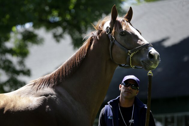 Exercise rider Willie Delgado looks up at Triple Crown hopeful California Chrome after they arrived at Belmont Park in Elmont, N.Y., Tuesday, May 20, 2014.   (AP Photo/Seth Wenig)