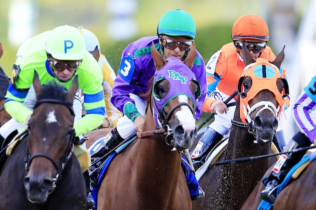 BALTIMORE, MD - MAY 17:  California Chrome #3, ridden by Victor Espinoza, races with the field during the 139th running of the Preakness Stakes at Pimlico Race Course on May 17, 2014 in Baltimore, Maryland.  (Photo by Rob Carr/Getty Images)