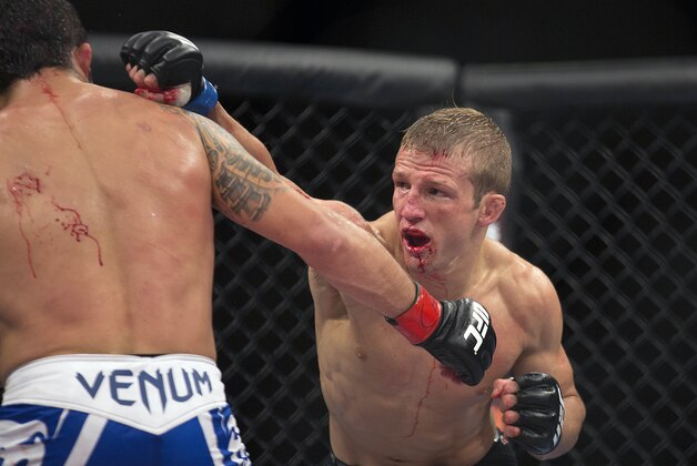 TJ Dillashaw, from the U.S., right, Raphael Assuncao, from Brazil, fight during their Bantamweight mixed martial arts bout at the Ultimate Fighting Championship in Barueri, on the outskirt of Sao Paulo, Brazil, Wednesday, Oct. 9, 2013. (AP Photo/Andre Penner)