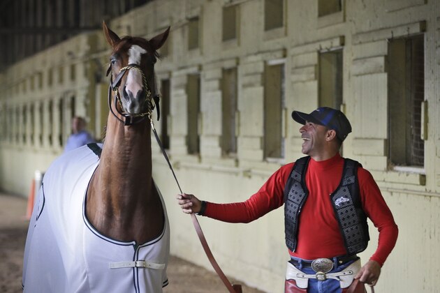 Exercise rider Willie Delgado laughs as he walks California Chrome around the stables after he jogged around the track at Belmont Park in Elmont, N.Y., Wednesday, May 21, 2014. California Chrome arrived in New York on Tuesday to begin preparations for his bid to become horse racing's first Triple Crown winner in 36 years. (AP Photo/Seth Wenig)