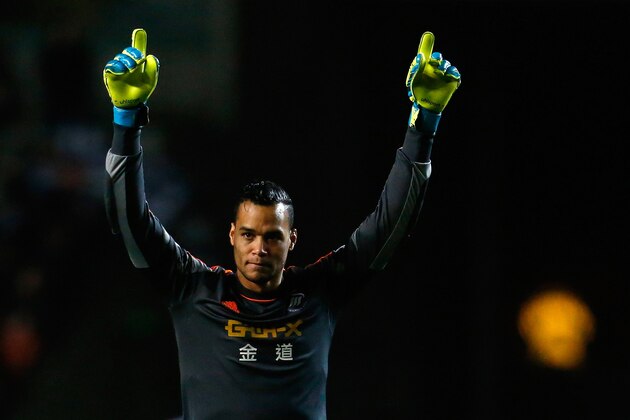 SWANSEA, WALES - FEBRUARY 08: Michel Vorm of Swansea celebrates his teams second goal during the Barclays Premier League match between Swansea City and Cardiff City at the Liberty Stadium on February 8, 2014 in Swansea, Wales. (Photo by Paul Thomas/Getty Images)
