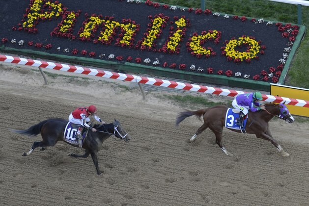 California Chrome, right, ridden by jockey Victor Espinoza, heads to the finish line ahead of Ride on Curlin, ridden by Joel Rosario, to win the 139th Preakness Stakes horse race a Saturday, May 17, 2014,  at Pimlico Race Course in Baltimore. (AP Photo/Nick Wass)