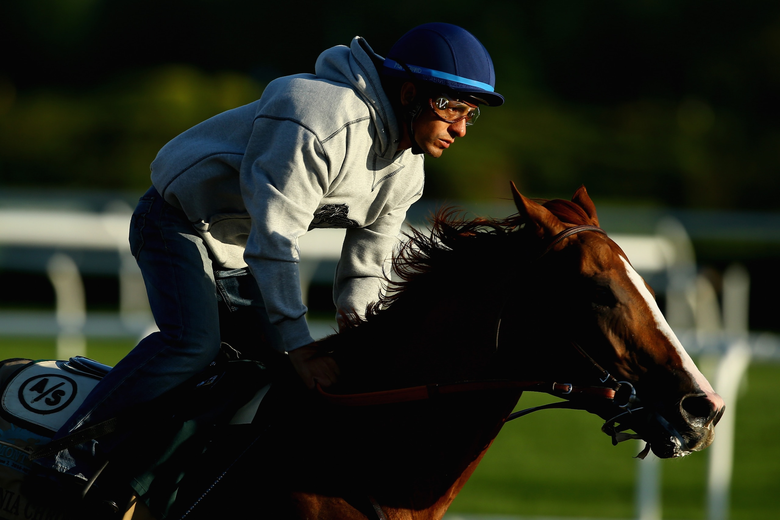 ELMONT, NY - MAY 31: Kentucky Derby and Preakness winner California Chrome with Jockey Victor Espinoza up, trains at Belmont Park on May 31, 2014 in Elmont, New York. He is scheduled to race for the Triple Crown in the 146th running of the Belmont Stakes (Photo by Al Bello/Getty Images) ELMONT, NY - MAY 31: Kentucky Derby and Preakness winner California Chrome with Jockey Victor Espinoza up, trains at Belmont Park on May 31, 2014 in Elmont, New York. He is scheduled to race for the Triple Crown in the 146th running of the Belmont Stakes (Photo by Al Bello/Getty Images)