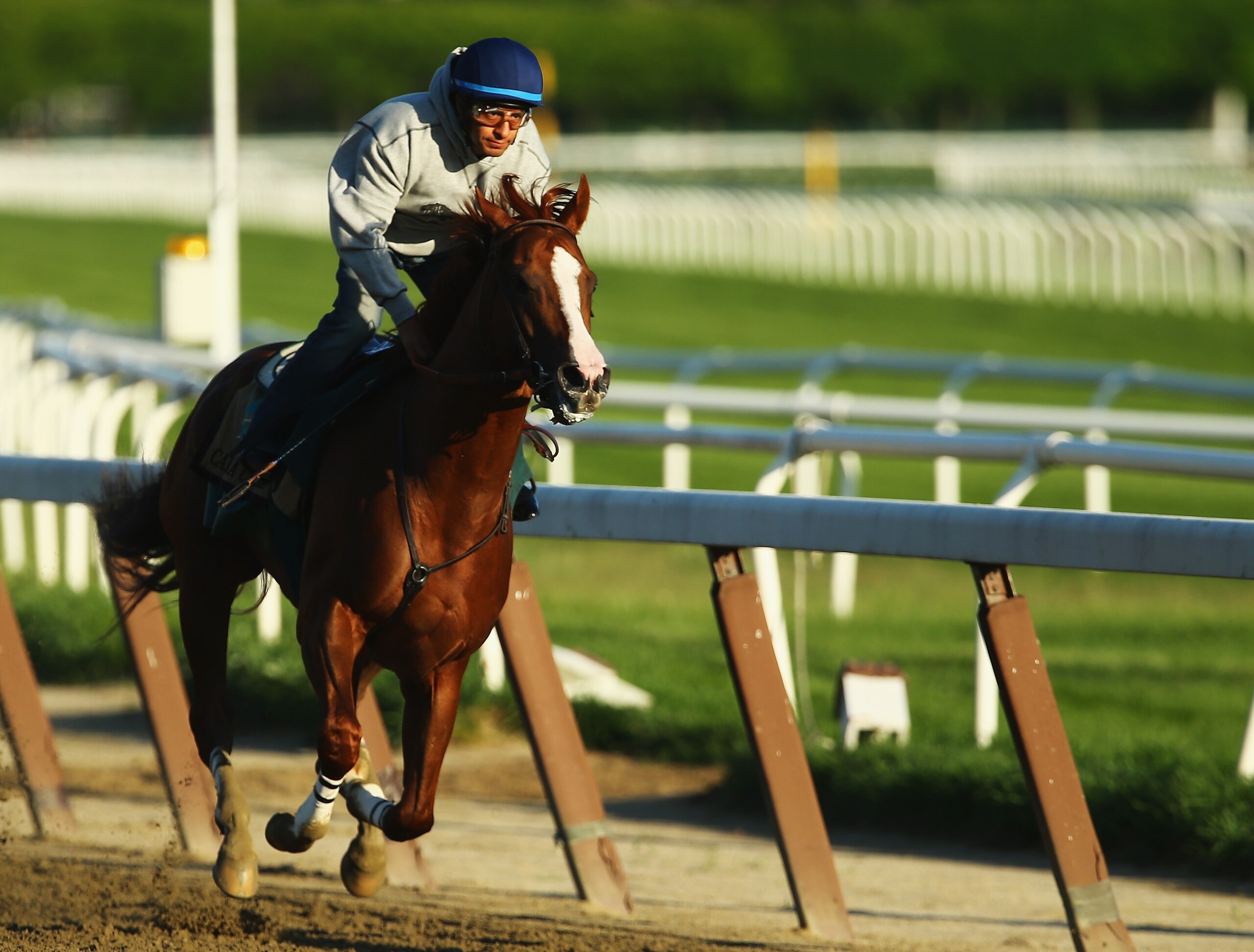 ELMONT, NY - MAY 31:  Kentucky Derby and Preakness winner California Chrome with Jockey Victor Espinoza up trains at Belmont Park on May 31, 2014 in Elmont, New York. He is scheduled to race for the Triple Crown in the 146th running of the Belmont Stakes  (Photo by Al Bello/Getty Images)