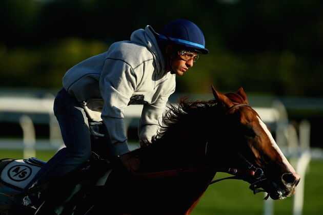 ELMONT, NY - MAY 31:  Kentucky Derby and Preakness winner California Chrome with Jockey Victor Espinoza up, trains at Belmont Park on May 31, 2014 in Elmont, New York. He is scheduled to race for the Triple Crown in the 146th running of the Belmont Stakes  (Photo by Al Bello/Getty Images)