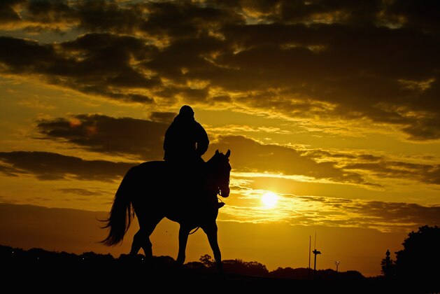ELMONT, NY - MAY 30:  A horse and exercise rider train on the main track  during sunrise at Belmont Park on May 30, 2014 in Elmont, New York.  (Photo by Al Bello/Getty Images)