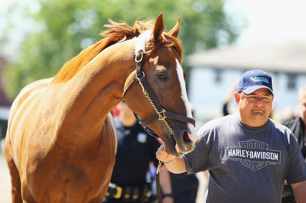 ELMONT, NY - MAY 20: Kentucky Derby and Preakness winner California Chrome arrives at Belmont Park led by assistant trainer Alan Sherman on May 20, 2014 in Elmont, New York. He is scheduled to race for the Triple Crown in the 146th running of the Belmont stakes (Photo by Al Bello/Getty Images) ELMONT, NY - MAY 20: Kentucky Derby and Preakness winner California Chrome arrives at Belmont Park led by assistant trainer Alan Sherman on May 20, 2014 in Elmont, New York. He is scheduled to race for the Triple Crown in the 146th running of the Belmont stakes (Photo by Al Bello/Getty Images)